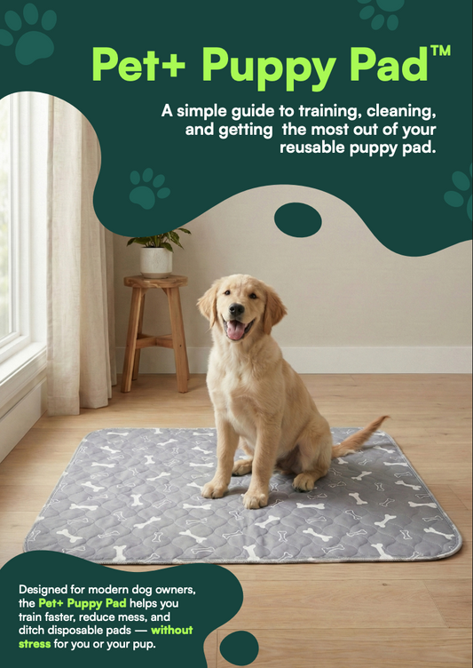 Potty Training eBook