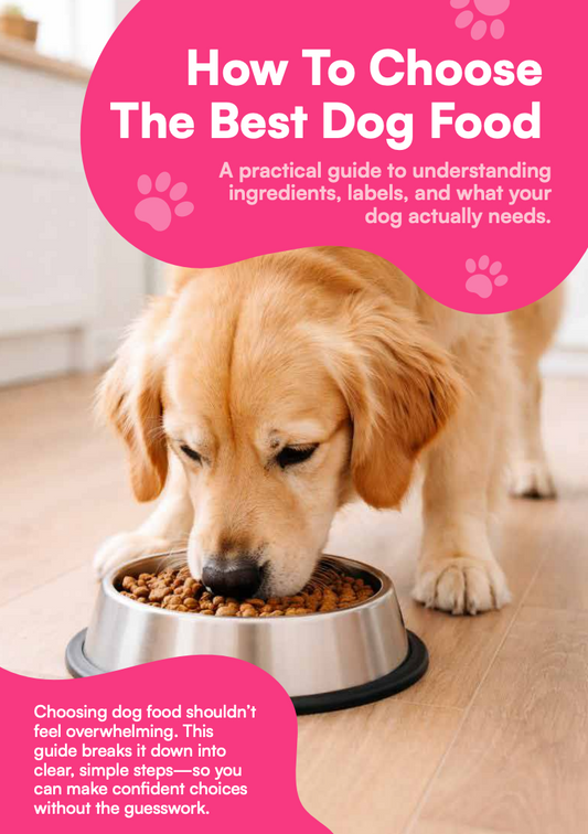 Dog Food eBook